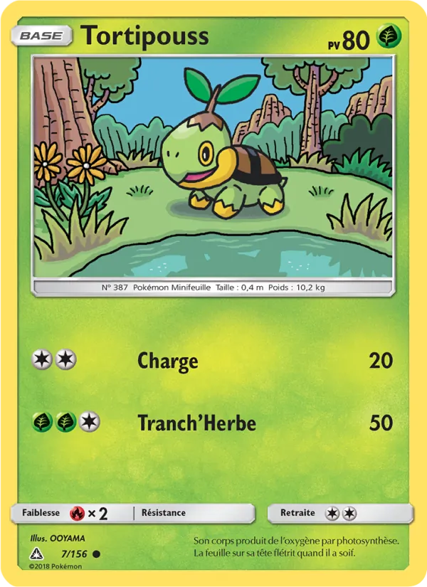 Tortipouss 7/156
