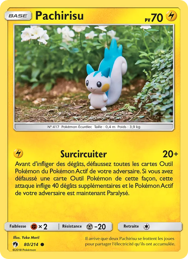 Pachirisu 80/214