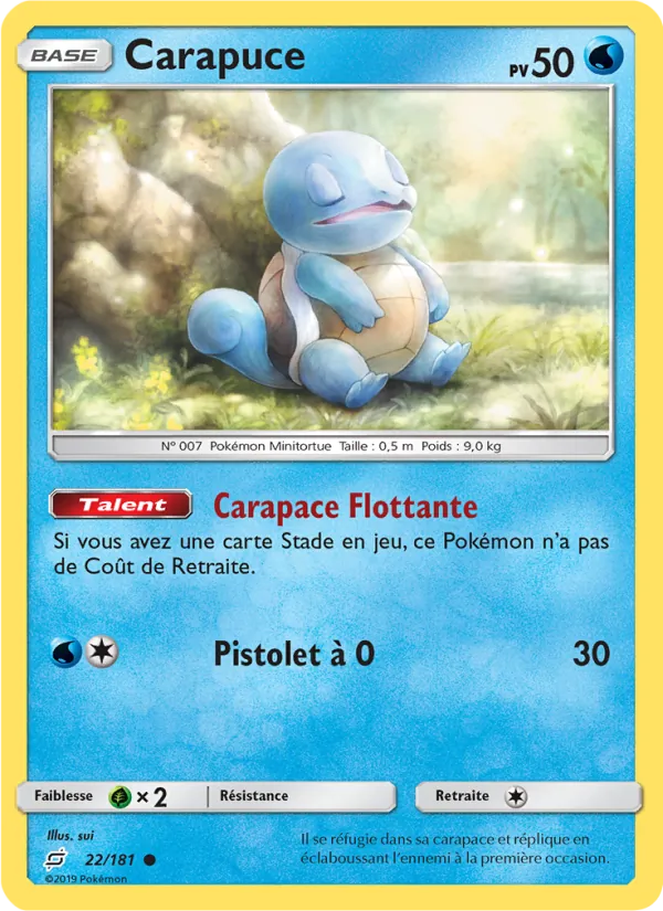 Carapuce 22/181