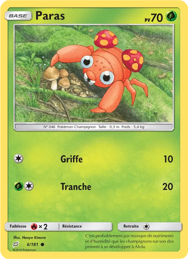 Paras 6/181