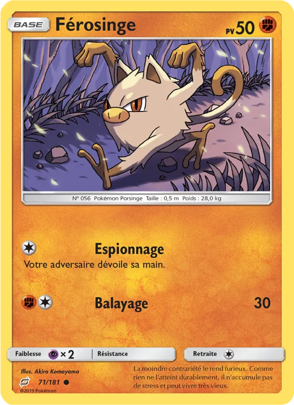 Férosinge 71/181