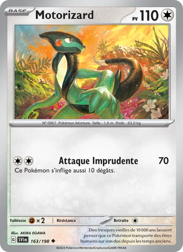 Motorizard 163/198