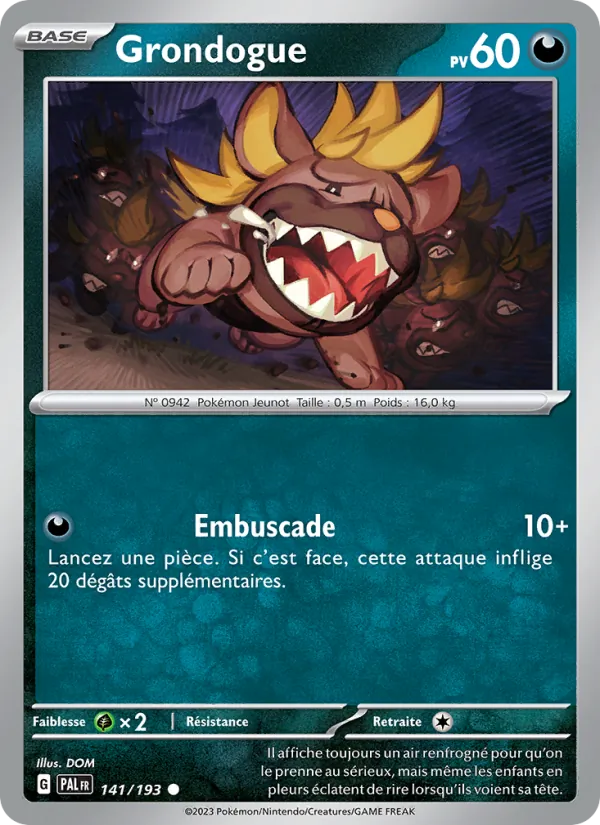Grondogue 141/193