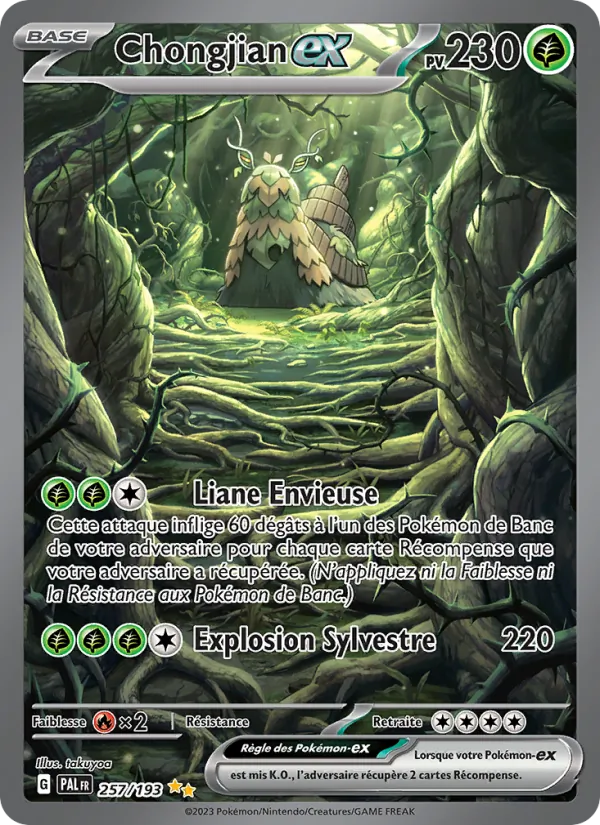 Chongjian-ex 257/193