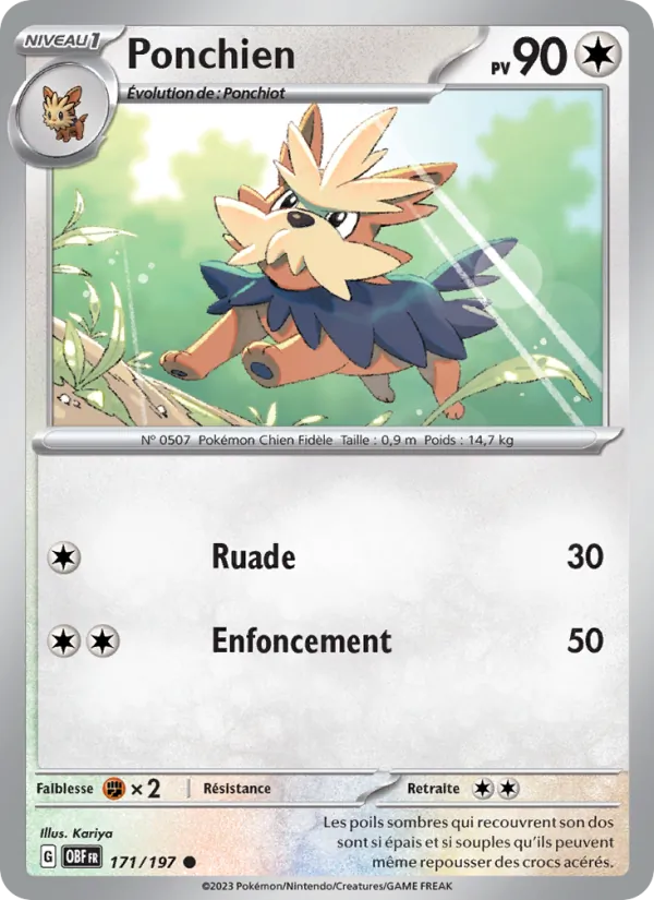 Ponchien 171/197