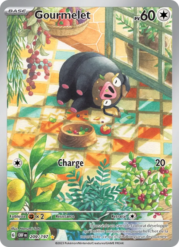Gourmelet 209/197