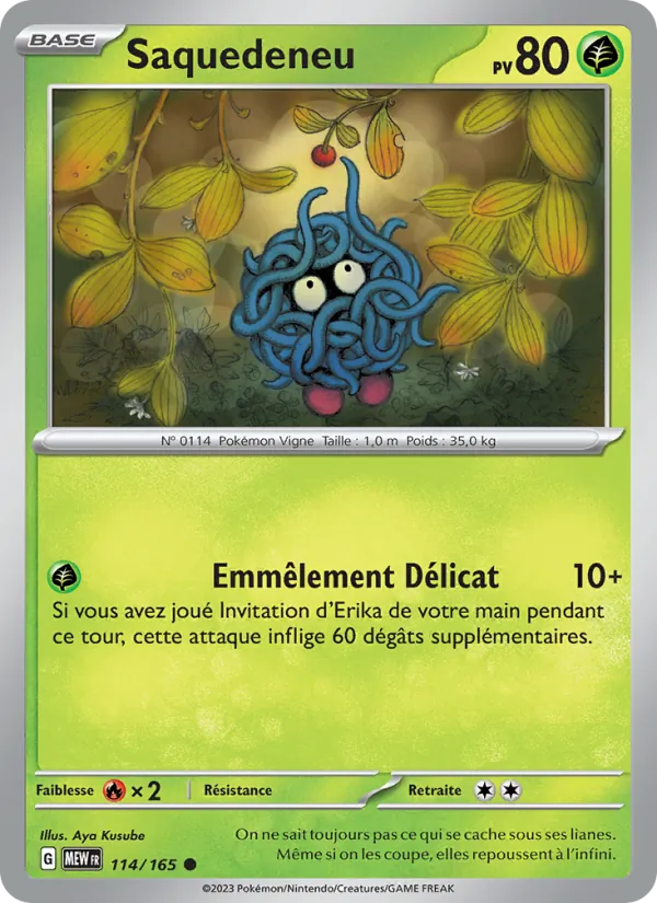 Saquedeneu 114/165
