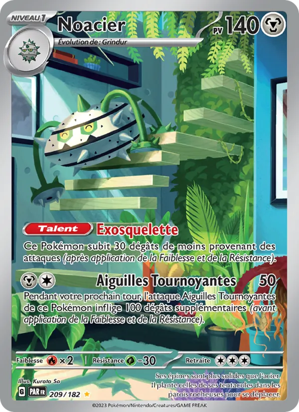 Noacier 209/182