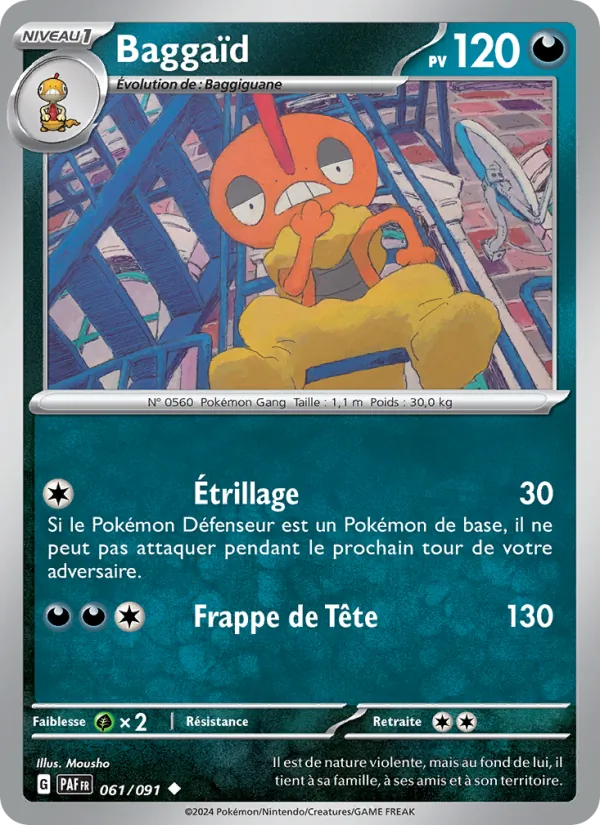 Baggaïd 061/91
