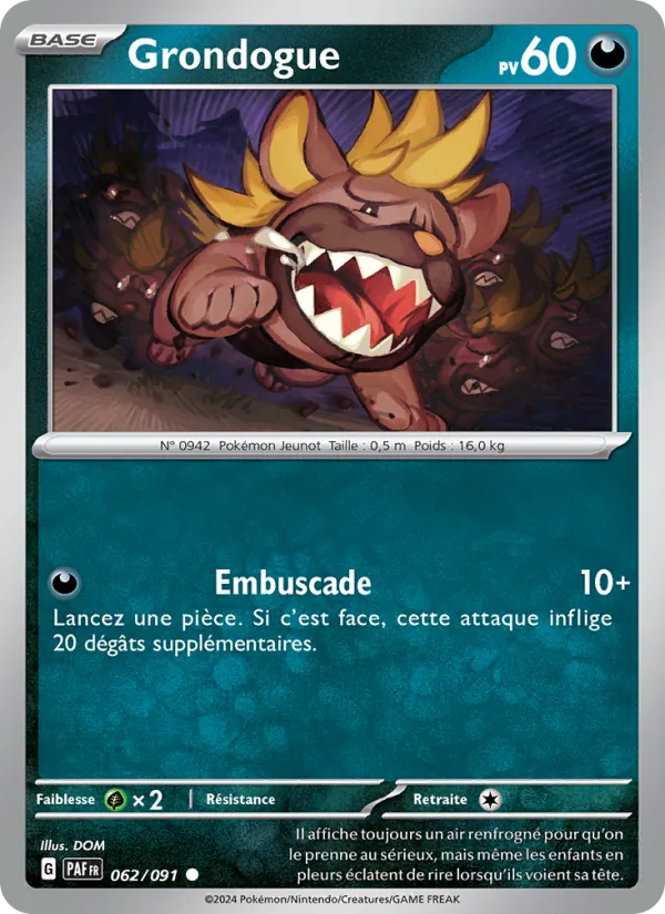 Grondogue 062/91