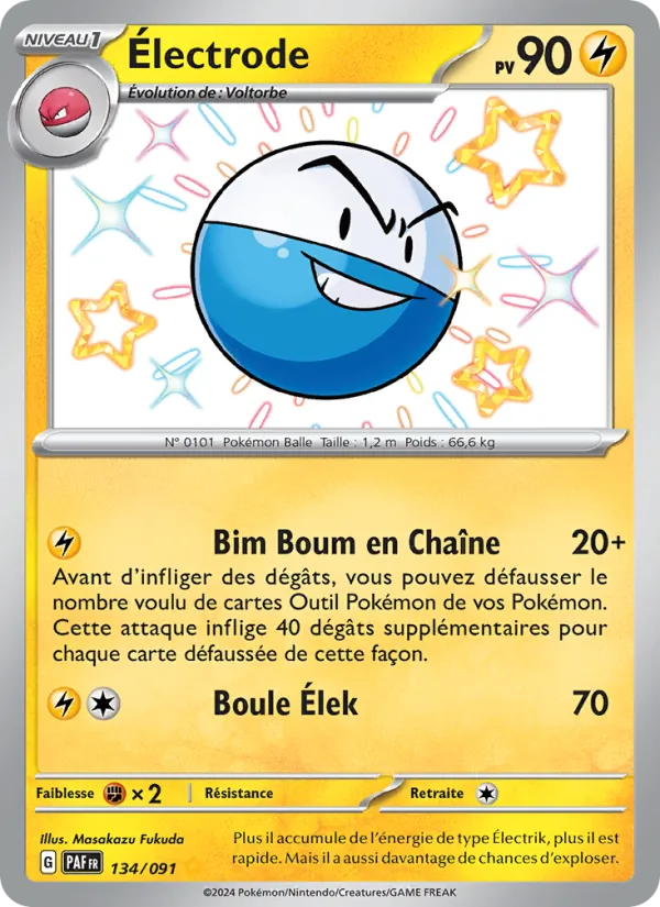 Électrode 134/91