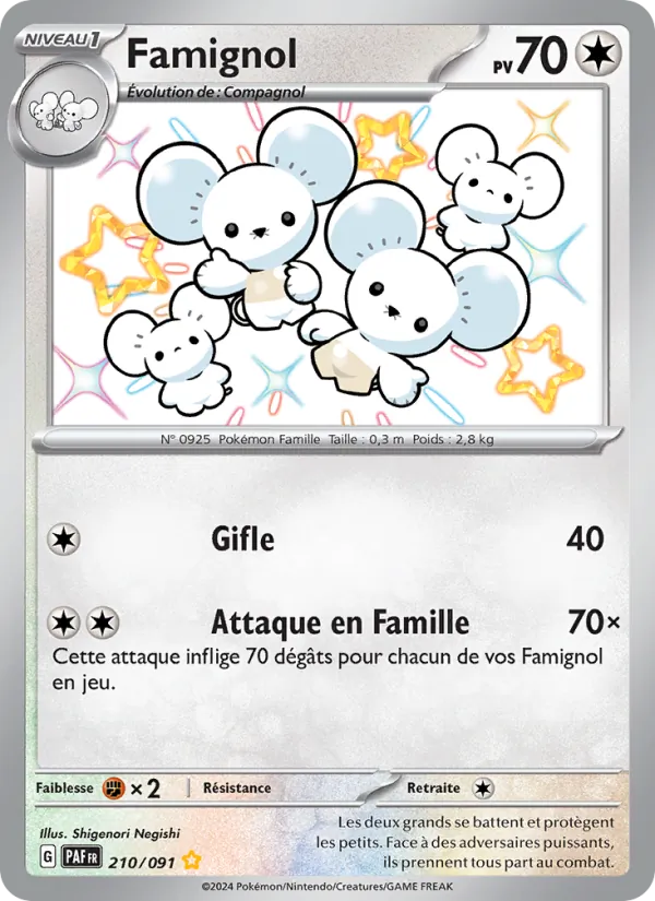 Famignol 210/91