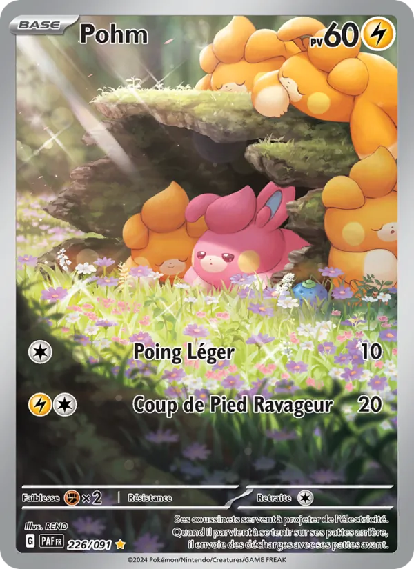 Pohm 226/91