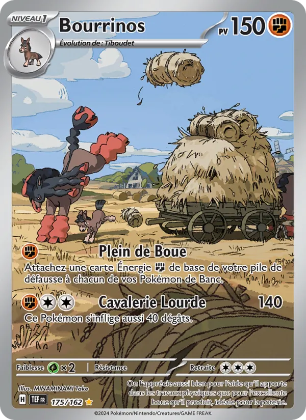 Bourrinos 175/162