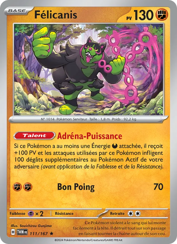Félicanis 111/167