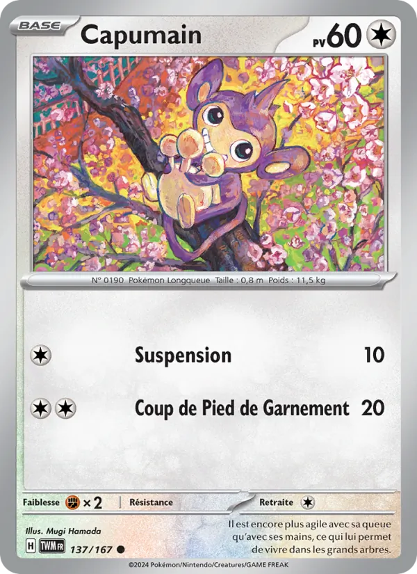 Capumain 137/167