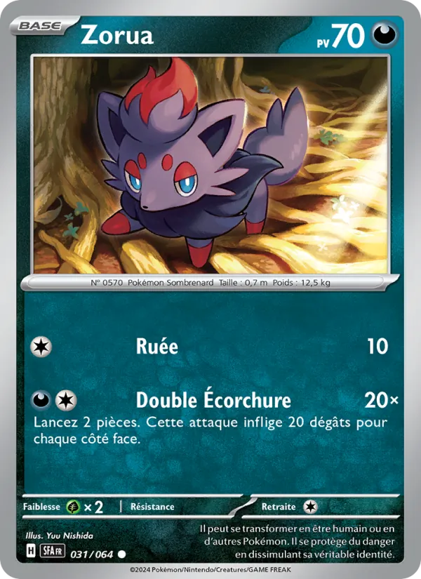 Zorua 031/64