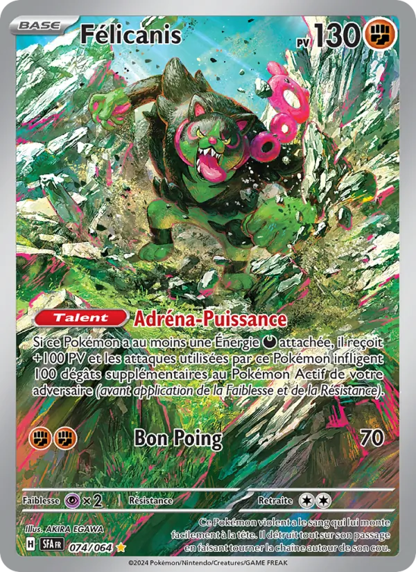 Félicanis 074/64