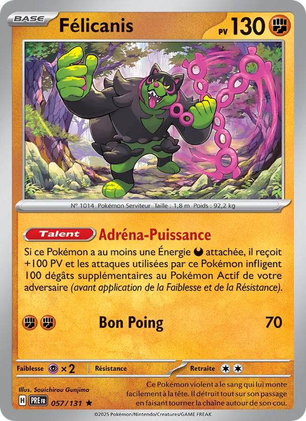 Félicanis 057/131