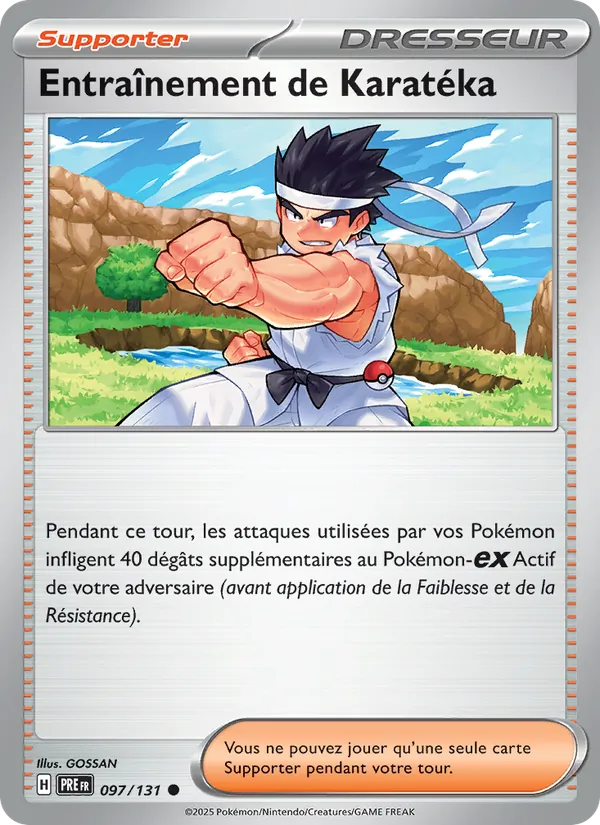 Entraînement de Karatéka 097/131