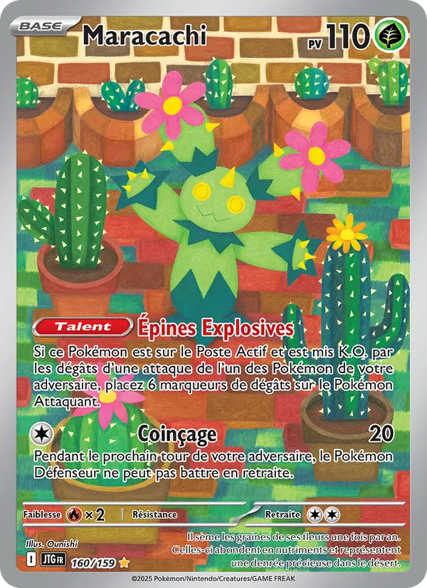 Maracachi 160/159
