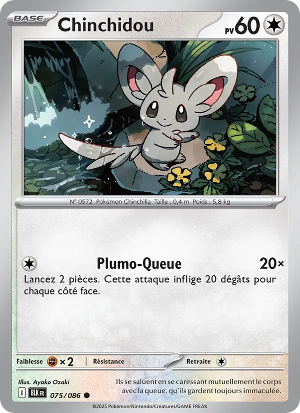 Chinchidou 075/86