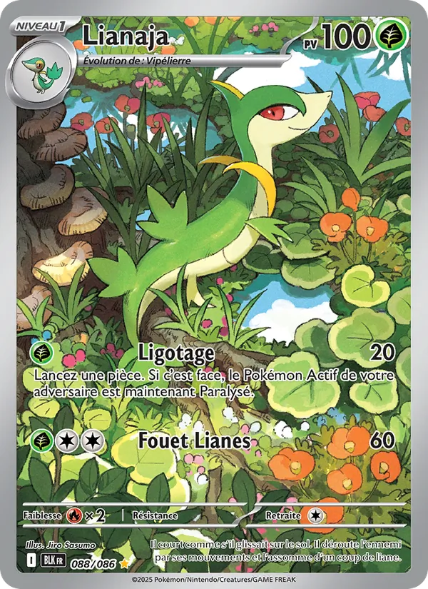 Lianaja 088/86