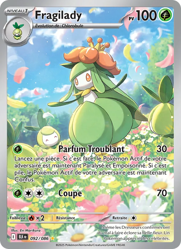 Fragilady 092/86