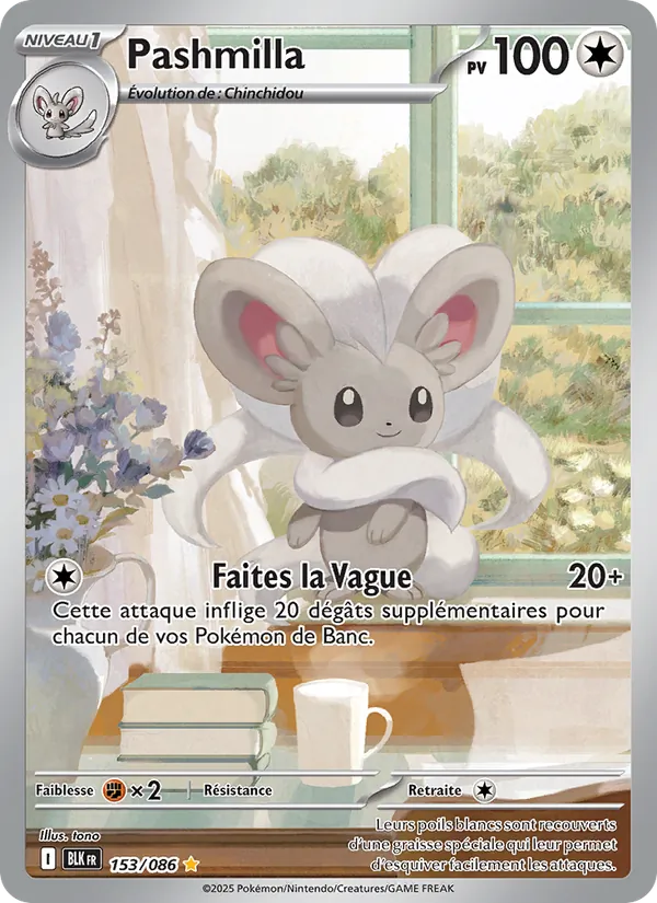 Pashmilla 153/86