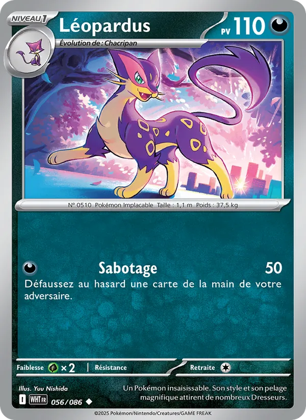 Léopardus 056/86