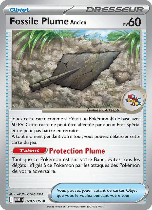 Fossile Plume Ancien 079/86