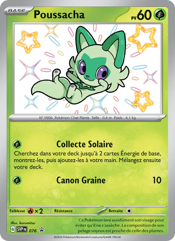 Poussacha 076/225