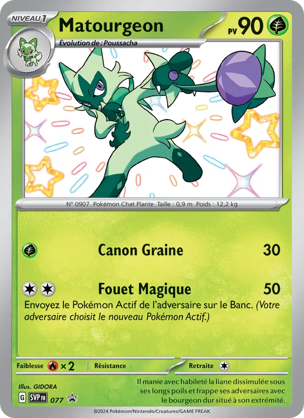 Matourgeon 077/225