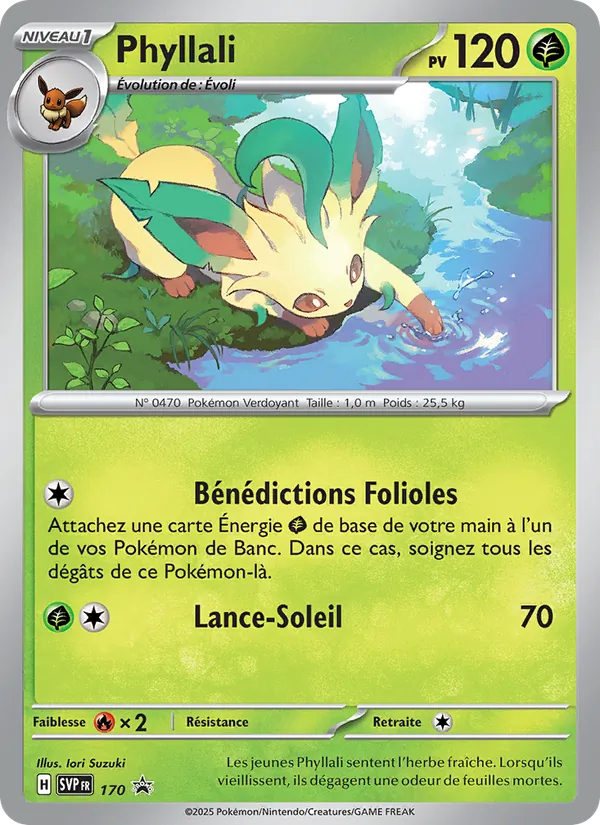 Phyllali 170/225