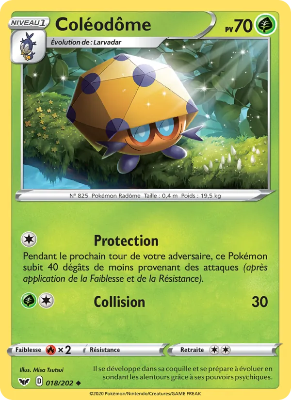 Coléodôme 18/202