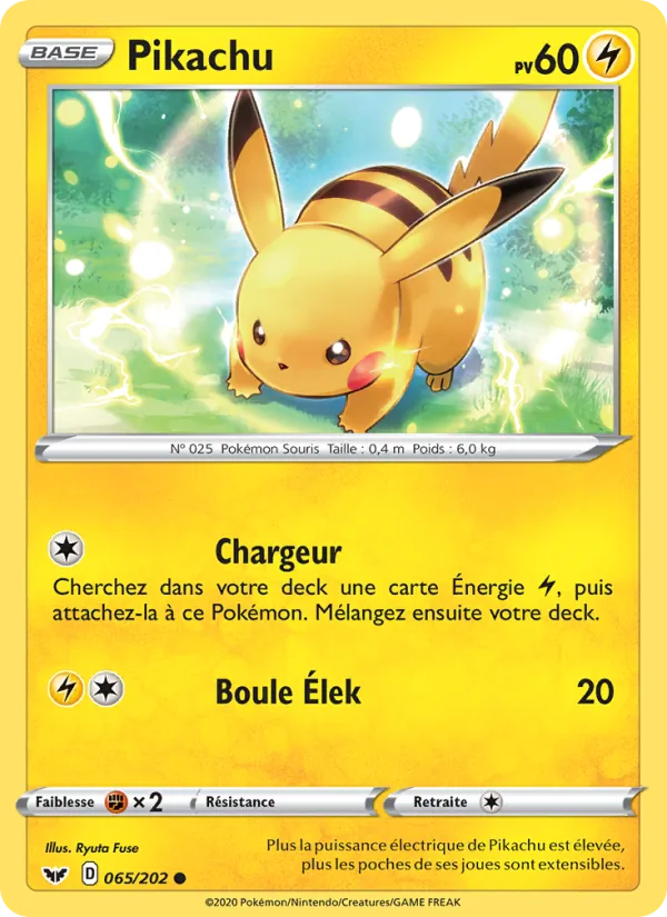 Pikachu 65/202