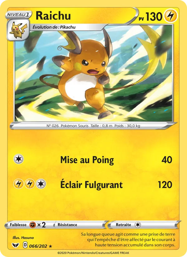 Raichu 66/202