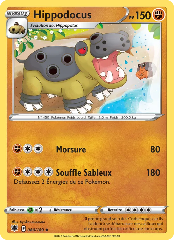 Hippodocus 080/189