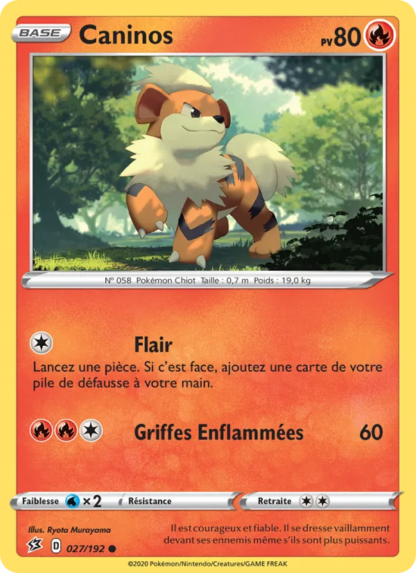 Caninos 27/192