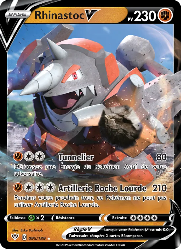 Rhinastoc V 95/189