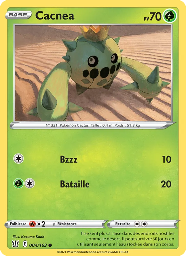 Cacnea 4/163