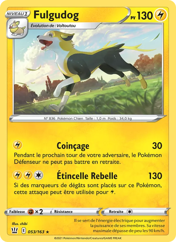 Fulgudog 53/163
