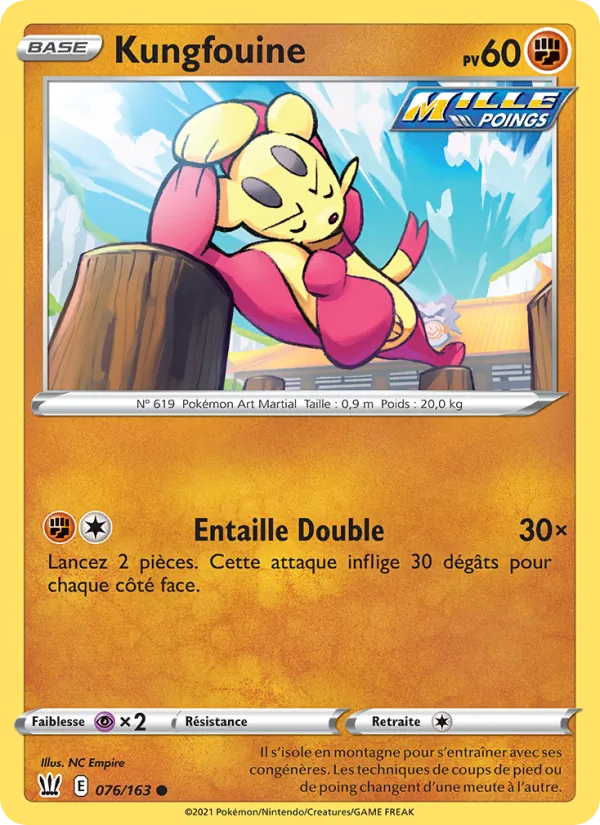 Kungfouine 76/163