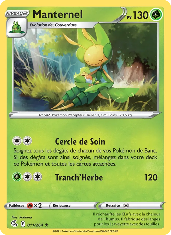 Manternel 11/264