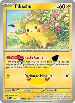 Pikachu 33