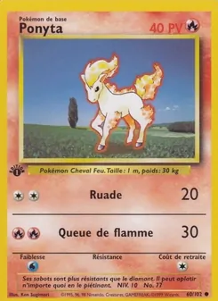 Ponyta 60