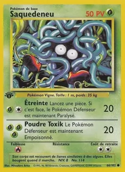 Saquedeneu 66