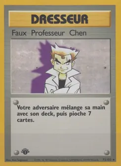 Faux Professeur Chen 73