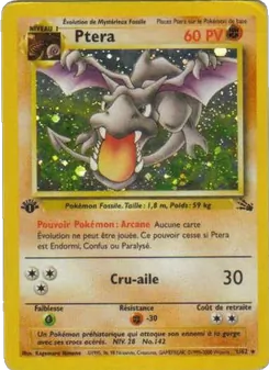Ptera 1