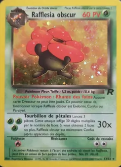 Rafflesia obscur 13